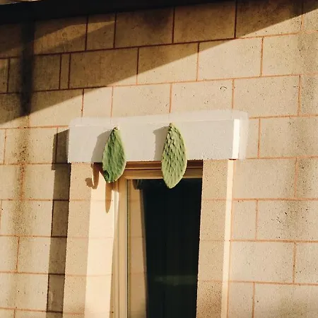 Εξοχικό σπίτι Masseria Petrusella